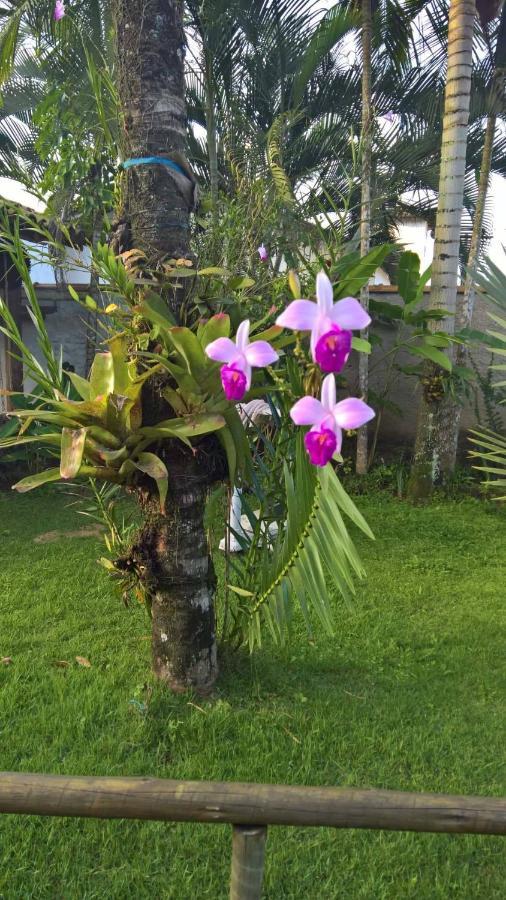 Pouso Bom Retiro Hotel Paraty Bagian luar foto