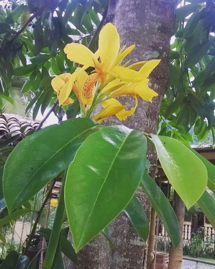 Pouso Bom Retiro Hotel Paraty Bagian luar foto